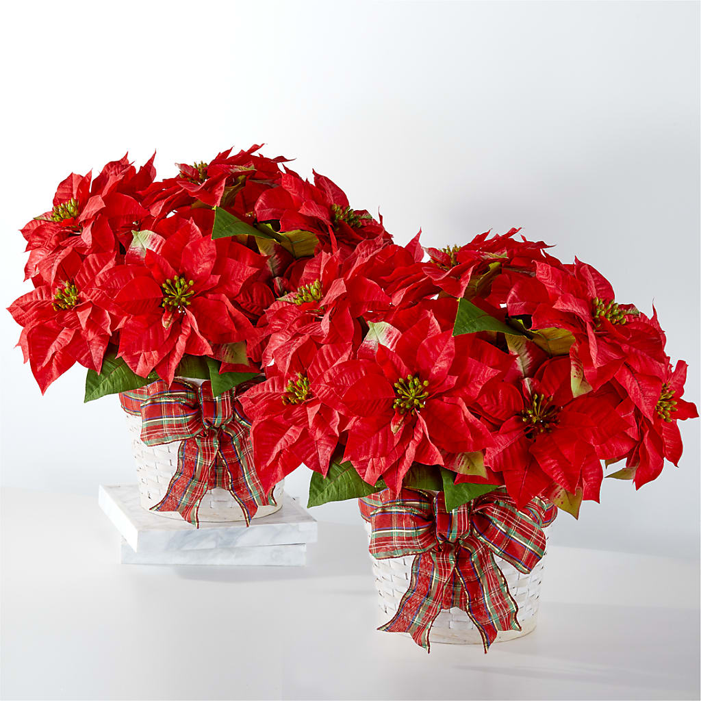 Happiest Holidays Poinsettia Bundle – Precious Flowers And Gifts, Ceres CA