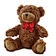 Adorable Plush Bear – Precious Flowers And Gifts, Ceres CA