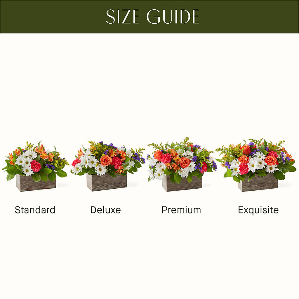 Oopsie Daisy Box Bouquet – Precious Flowers And Gifts, Ceres CA
