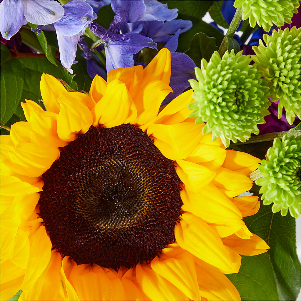 Catching Rays Bouquet – Precious Flowers And Gifts, Ceres CA
