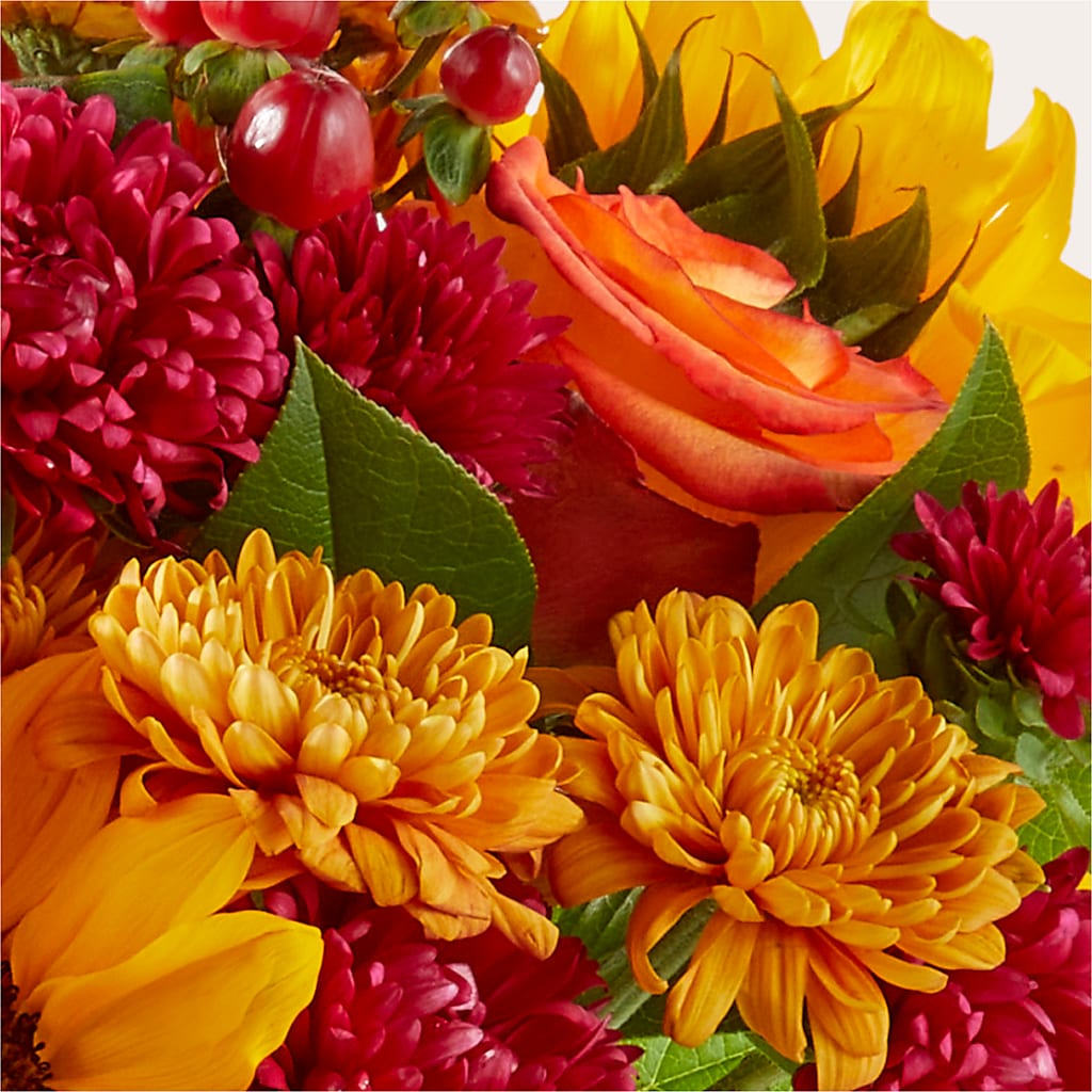Sweater Season - A Florist Original – Precious Flowers And Gifts, Ceres CA