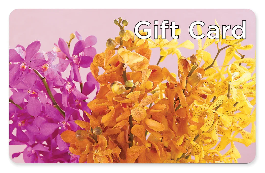 Gift Card – Precious Flowers And Gifts, Ceres CA