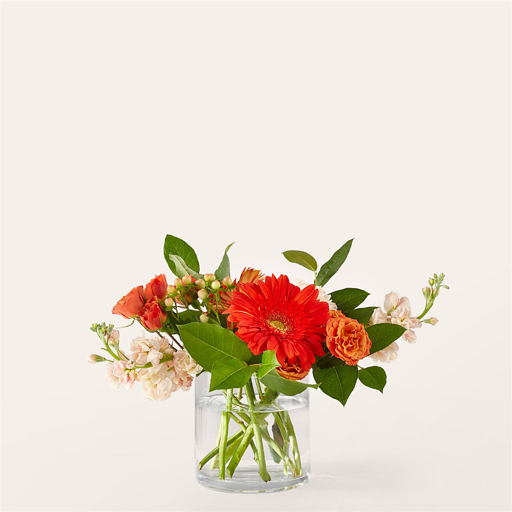 Paloma Please Bouquet – Precious Flowers And Gifts, Ceres CA