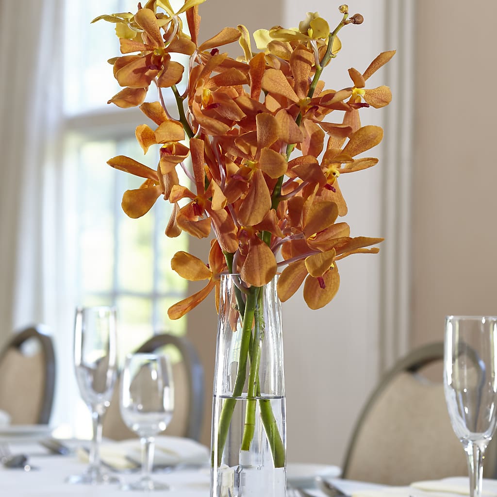 Orange Mokara Bud Vase – Precious Flowers And Gifts, Ceres CA