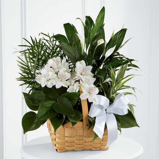 Peace & Serenity Dishgarden –  Precious Flowers And Gifts, Ceres CA