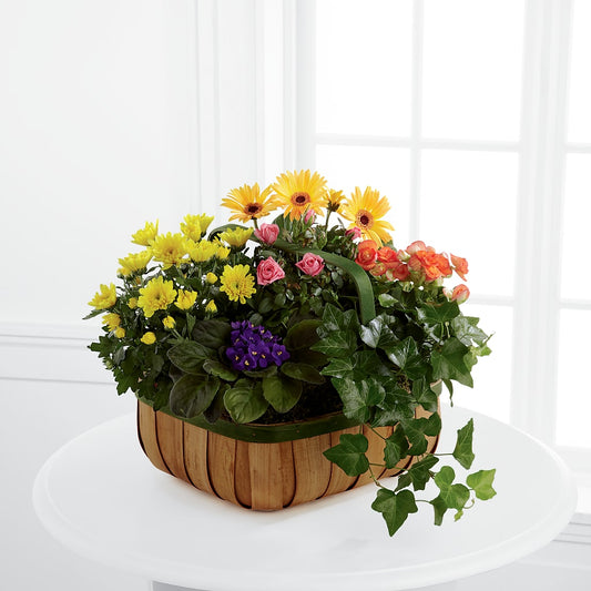 Gentle Blossoms Basket –  Precious Flowers And Gifts, Ceres CA