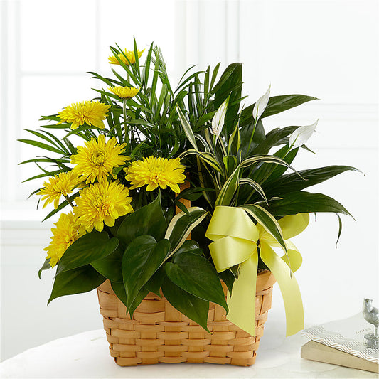 Loving Light Dishgarden –  Precious Flowers And Gifts, Ceres CA