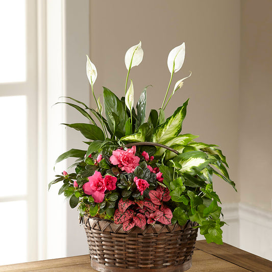 Dream in Pink Dishgarden –  Precious Flowers And Gifts, Ceres CA