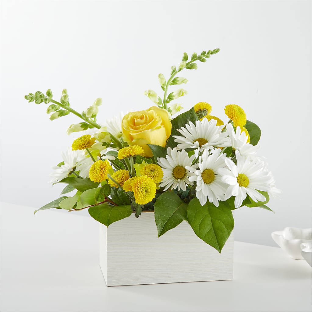 Sun Salutation Box Bouquet –  Precious Flowers And Gifts, Ceres CA