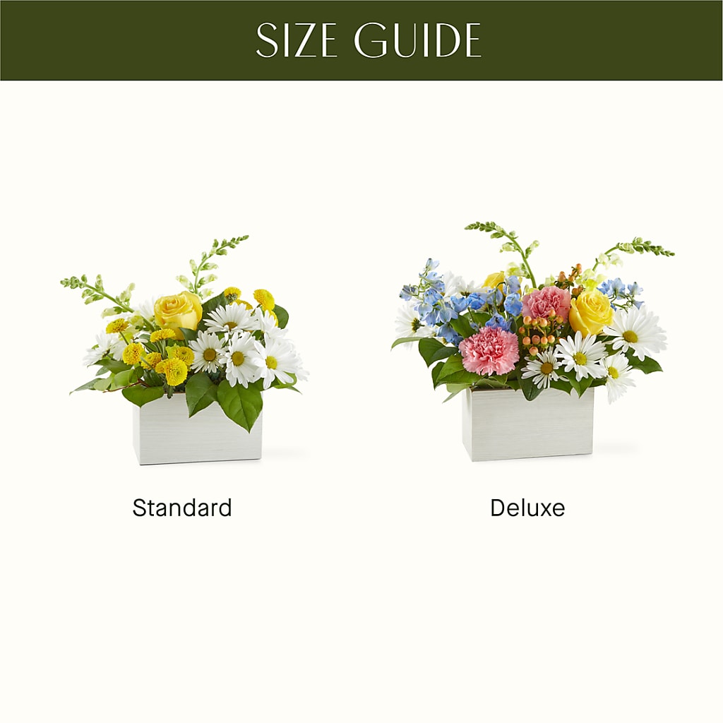 Sun Salutation Box Bouquet –  Precious Flowers And Gifts, Ceres CA