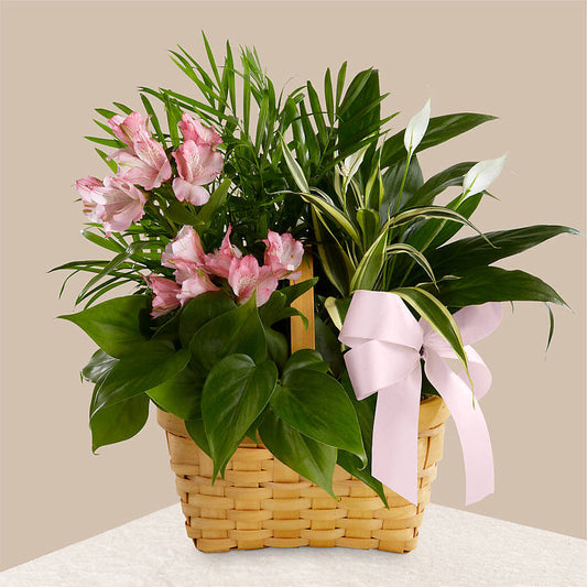 Living Spirit Dishgarden –  Precious Flowers And Gifts, Ceres CA