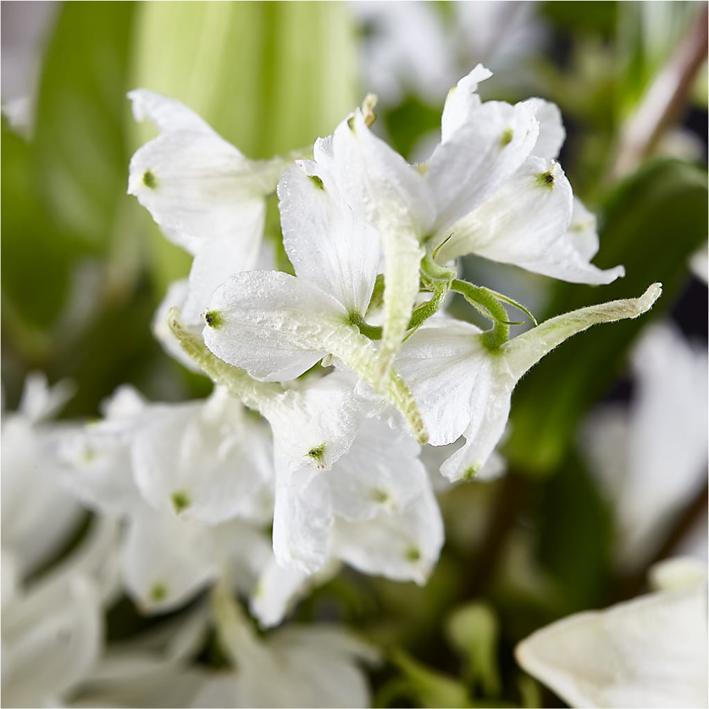Classic Ivory – A Florist Original –  Precious Flowers And Gifts, Ceres CA