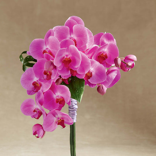 Glorious Bouquet –  Precious Flowers And Gifts, Ceres CA